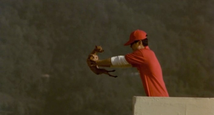 barking dogs never bite screencap