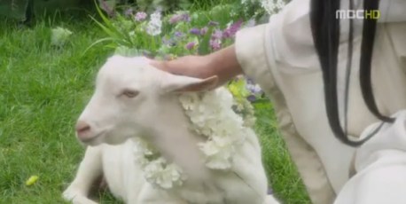 arang and the magistrate drama (43)