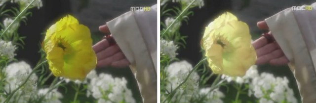 arang magistrate drama (19)