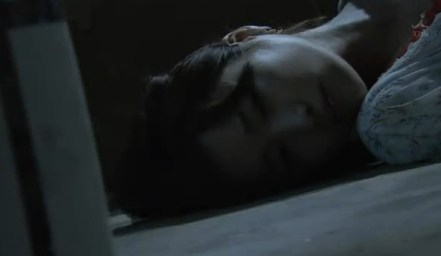 somato kabushiki gaisha (10)