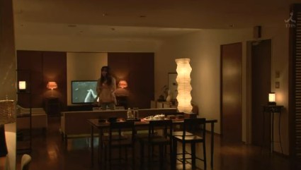 somato kabushiki gaisha (26)