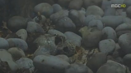 arang and the magistrate kdrama (16)