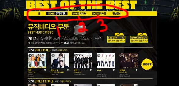 sbs mtv daum best of the best voting